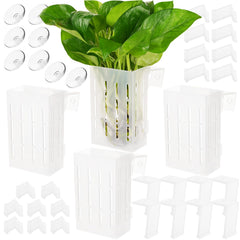 Borlech soporte planta acuario con ganchos para fijación estable de plantas.