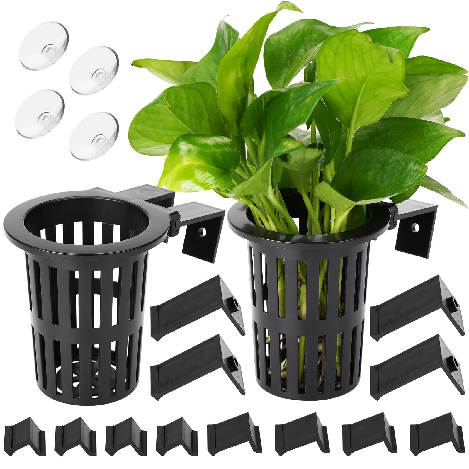 Borlech soporte plantas acuario 2025, diseño amplio y funcional.