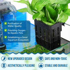 Borlech soporte de plantas para acuario con ventosas para instalación rápida.