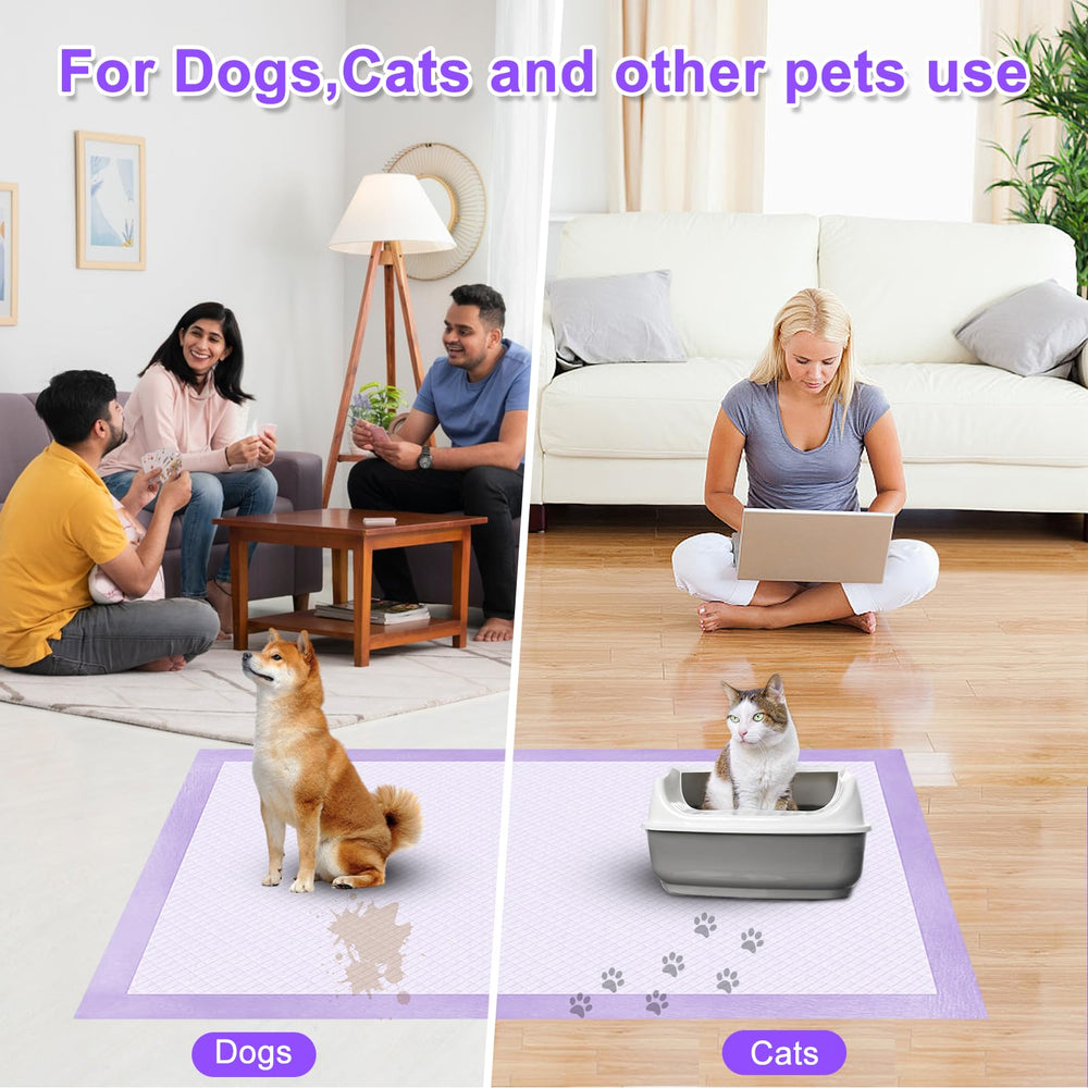 Boscute uso diario para perros y gatos: entrenamiento cómodo