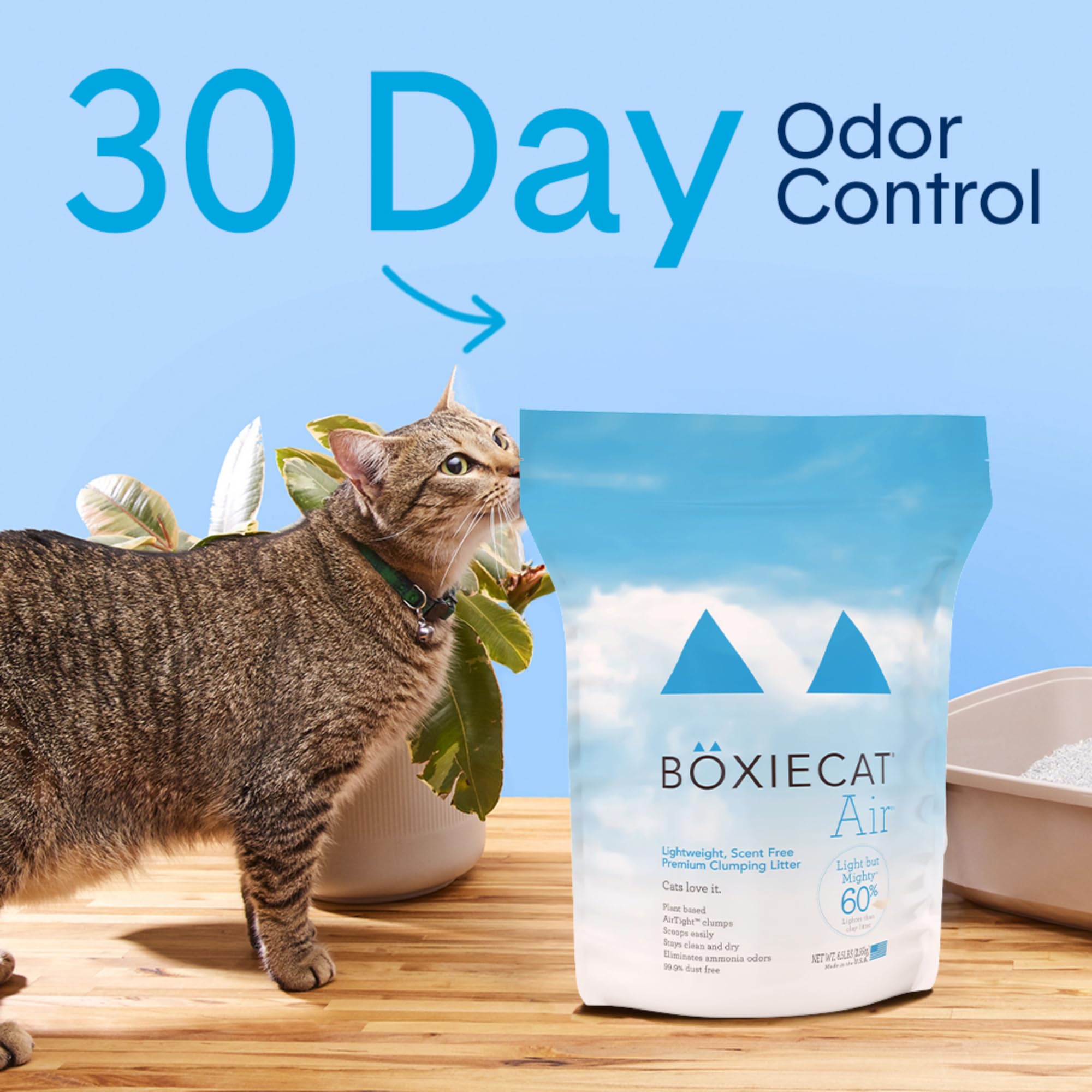 Boxiecat arena para gatos con grumos en la superficie para limpieza rápida