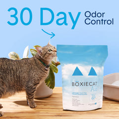 Boxiecat arena para gatos con grumos en la superficie para limpieza rápida
