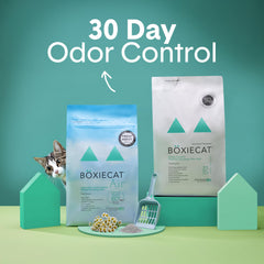 Boxiecat arena para gatos sin polvo, menos polvo en interiores