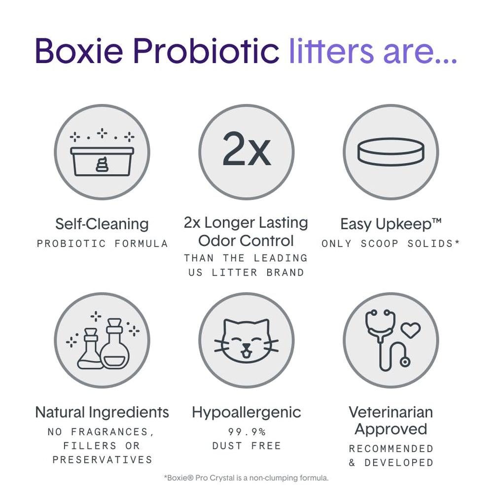Boxiecat cristales absorbentes neutralizan olores de forma natural
