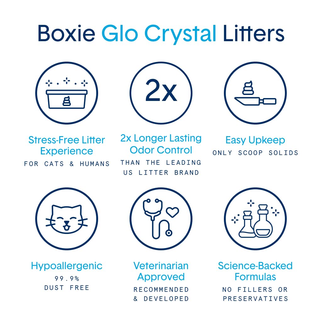 Boxiecat Glo: apoyo a hábitos de caja para gatos