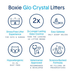 Boxiecat Glo: apoyo a hábitos de caja para gatos