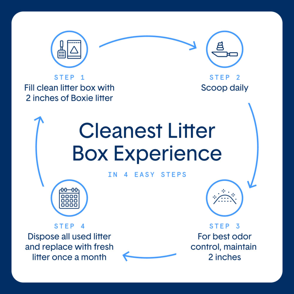 Boxiecat Glo: experiencia multisensorial para gatos curiosos
