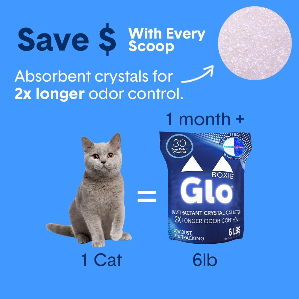 Boxiecat Glo: opción duradera en envase de 6 lb