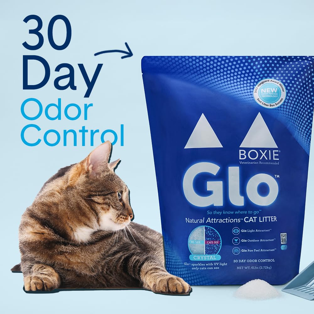 Boxiecat Glo: atracción UV que guía gatos a la caja de arena