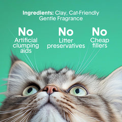 Boxiecat Litter facilita la limpieza con aglomeraciones en la parte superior.