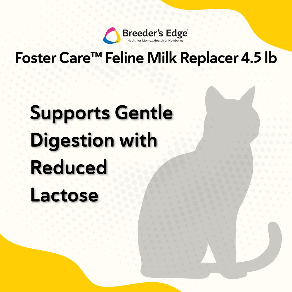 Breeder's Edge Foster Care Feline, mezcla rápida y cremosa para alimentar con biberón.