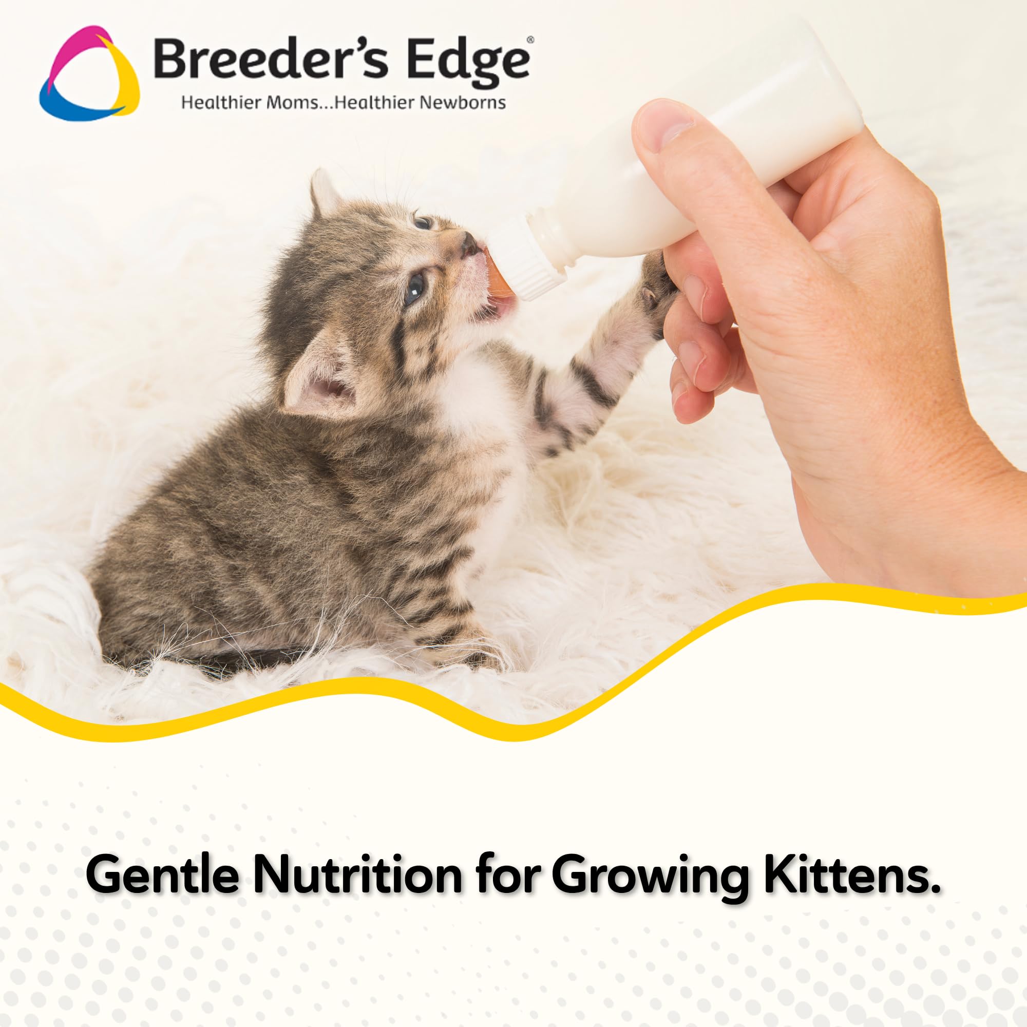 Breeder's Edge Foster Care Feline, nutrición completa para gatitos y gatos, sustento diario.
