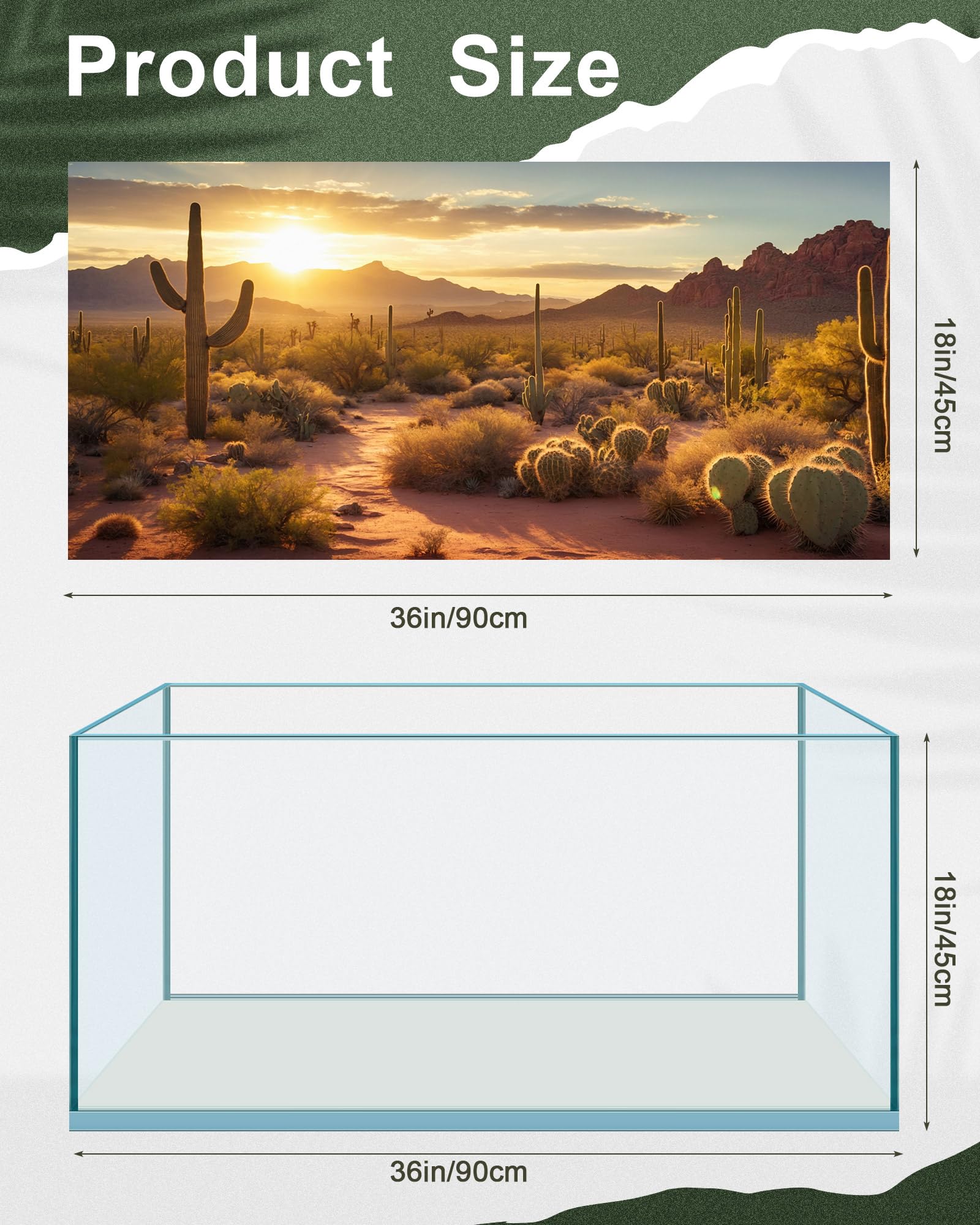 Breling fondo cactus para tanque reptil, crea un entorno seco y auténtico.