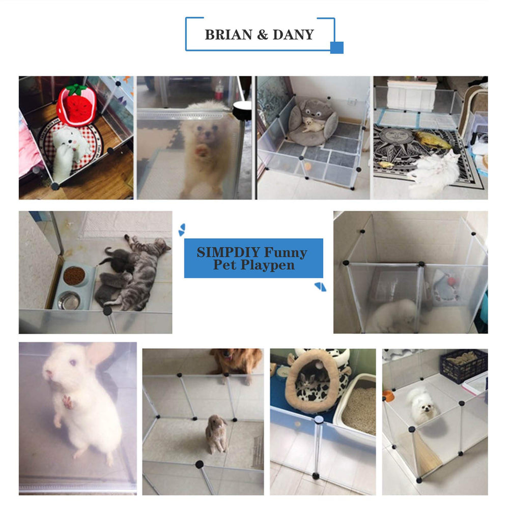 BRIAN & DANY: diseño que facilita la supervisión diaria de tu mascota.