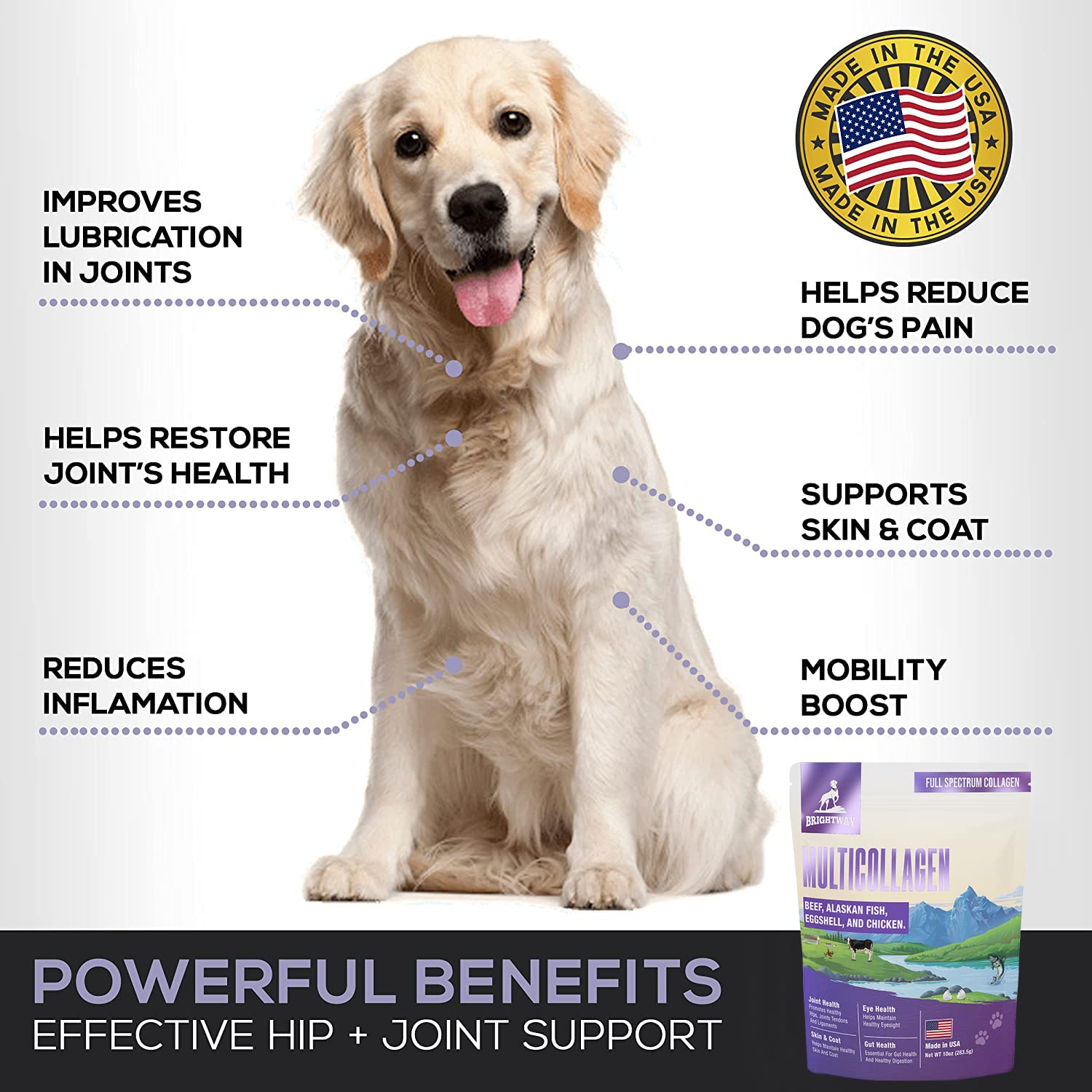 Brightway Pets piel y pelaje brillantes gracias a la suplementación.