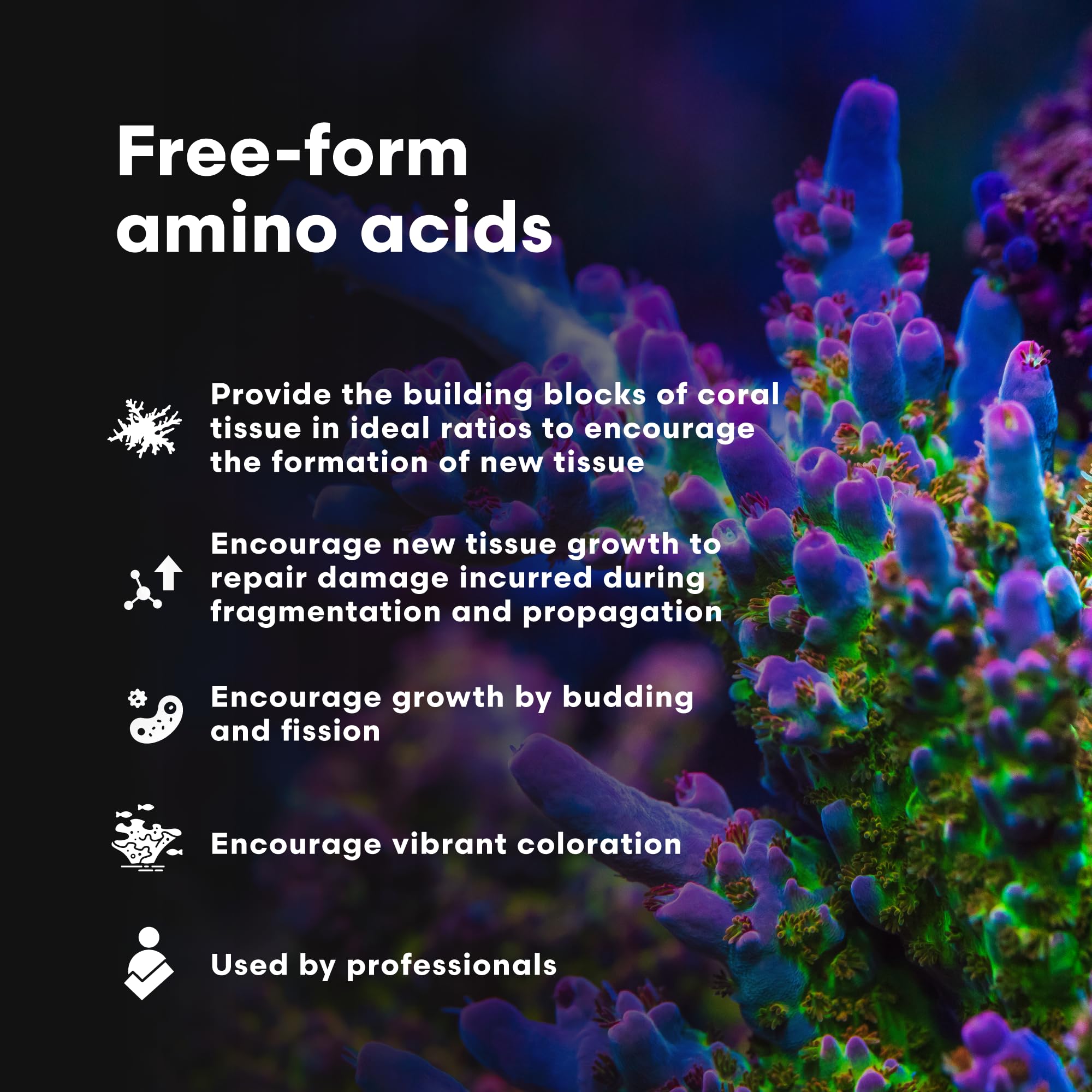 Dispersión en agua con CoralAmino favorece el desarrollo del tejido coral.