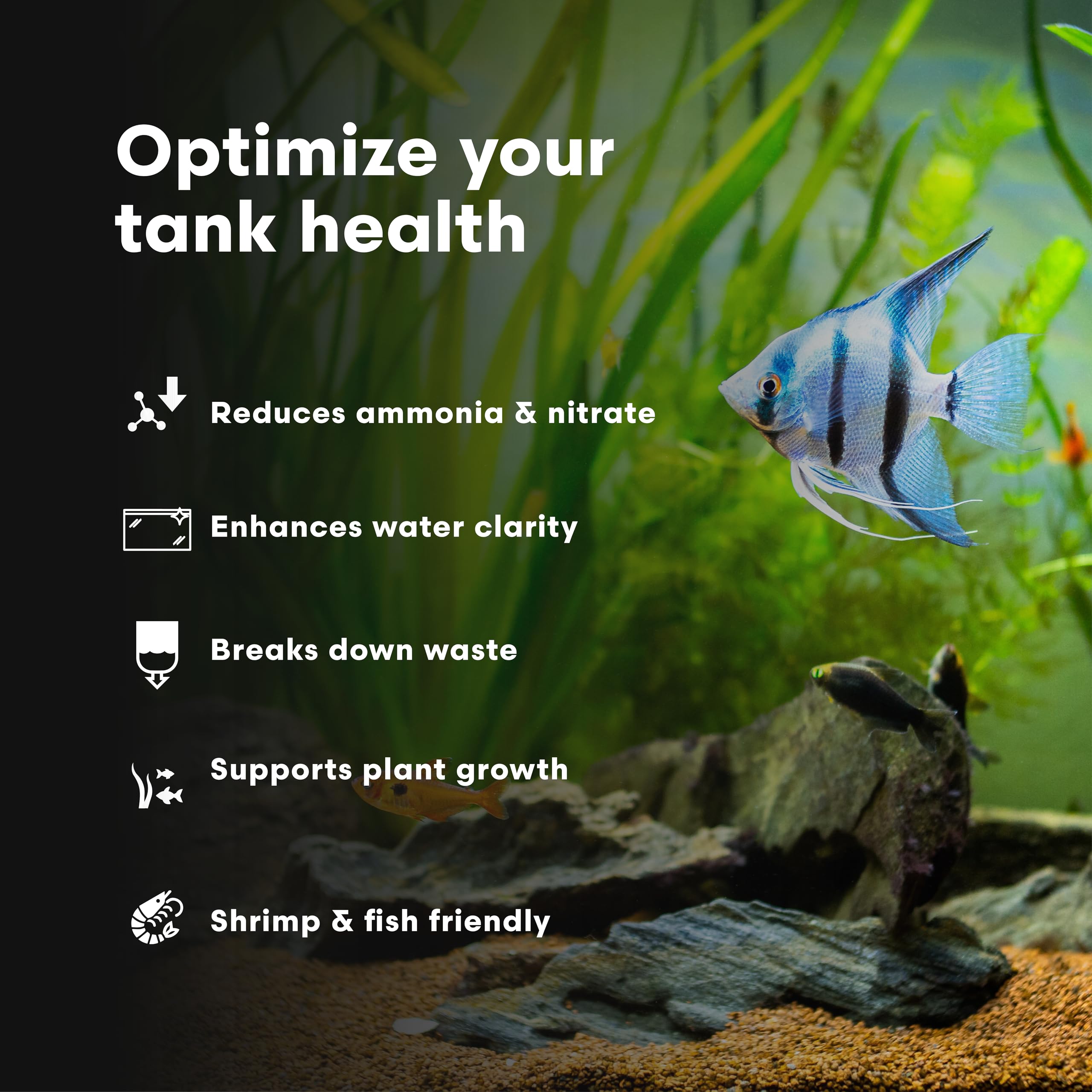 Fórmula suave de FlorinBacter7 para camarones y peces sin cobre.