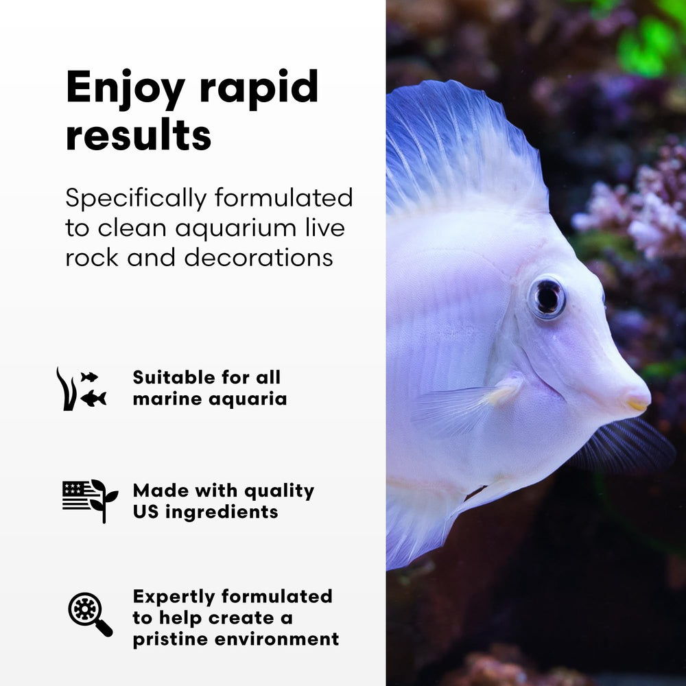 Brightwell Aquatics MicroBacter Clean, limpieza de superficies en piedra viva, mejora la claridad del agua