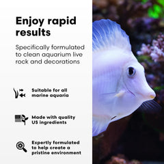 Brightwell Aquatics MicroBacter Clean, limpieza de superficies en piedra viva, mejora la claridad del agua