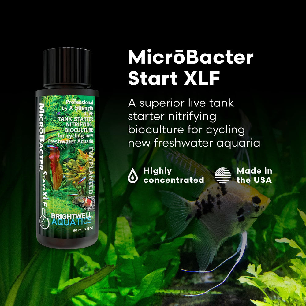 Brightwell Aquatics MicroBacter Start XLF label closeup showing concentrated formula