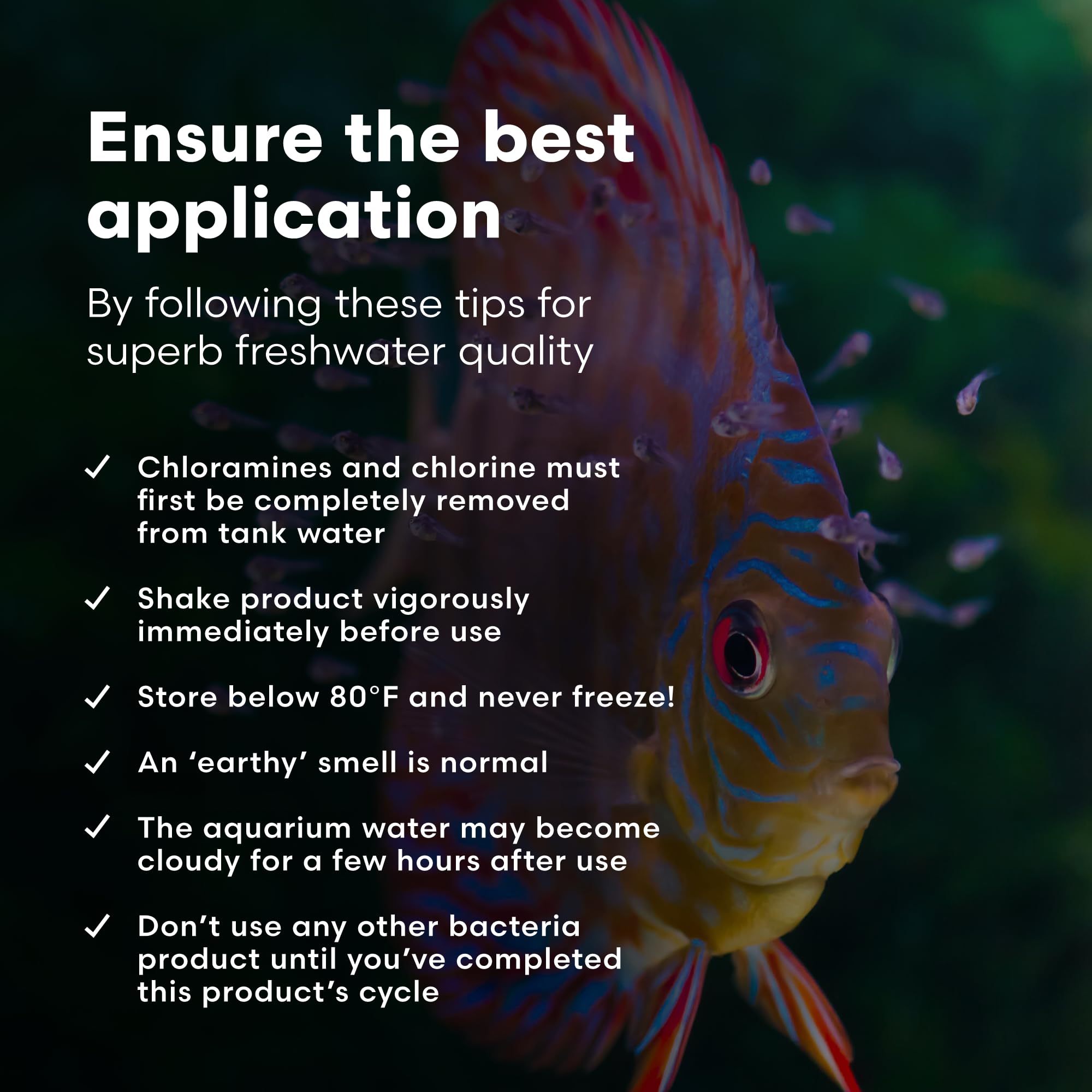 Brightwell Aquatics MicroBacter Start XLF post cleaning rocks use for faster recovery