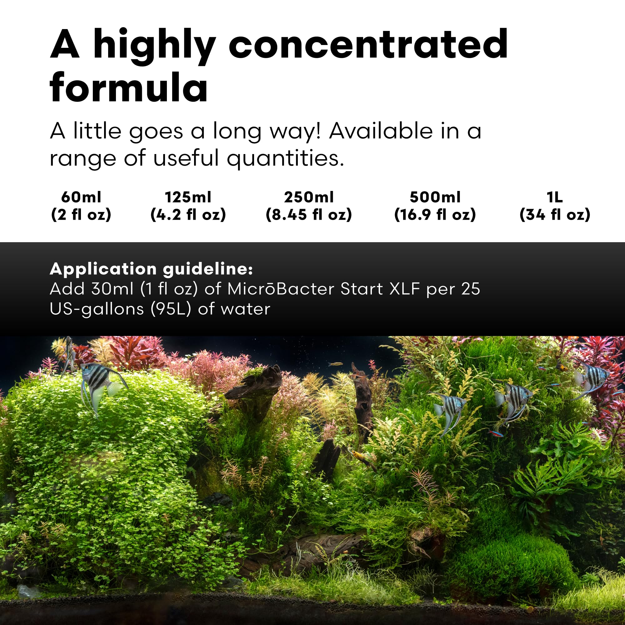 Brightwell Aquatics MicroBacter Start XLF near filter media illustrating rapid 5 7 day cycling