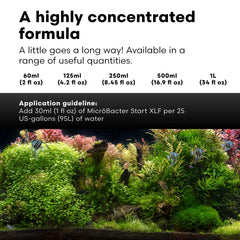 Brightwell Aquatics MicroBacter Start XLF near filter media illustrating rapid 5 7 day cycling