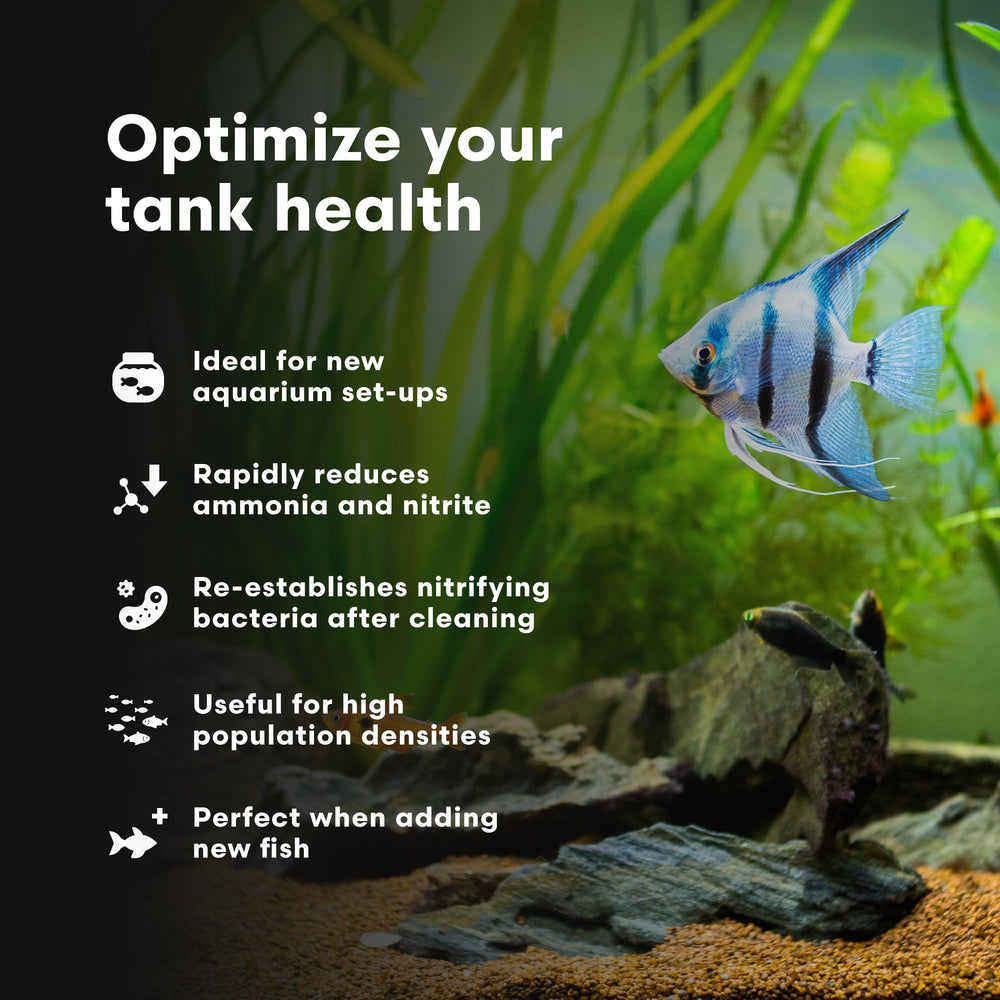 Brightwell Aquatics MicroBacter Start XLF in a thriving freshwater tank