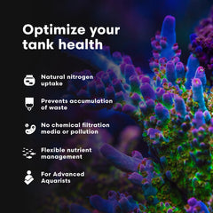 NeoPhos favorece microbios que alimentan corales e invertebrados.