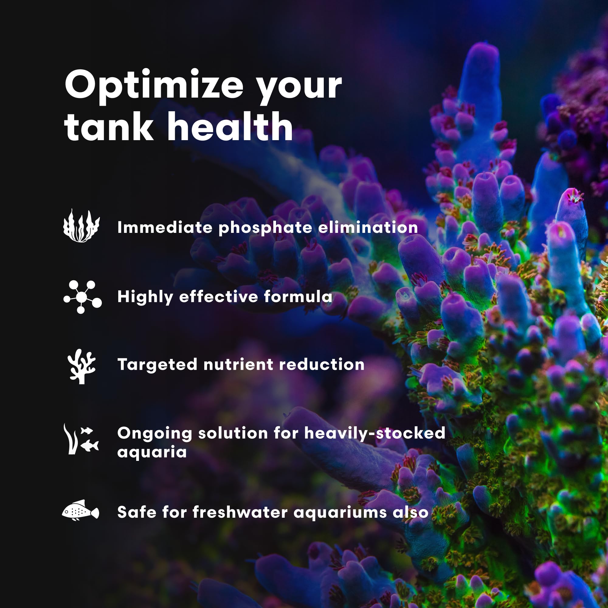 Brightwell Aquatics Phosphat-E: agua del tanque con fosfato reducida tras la dosificación