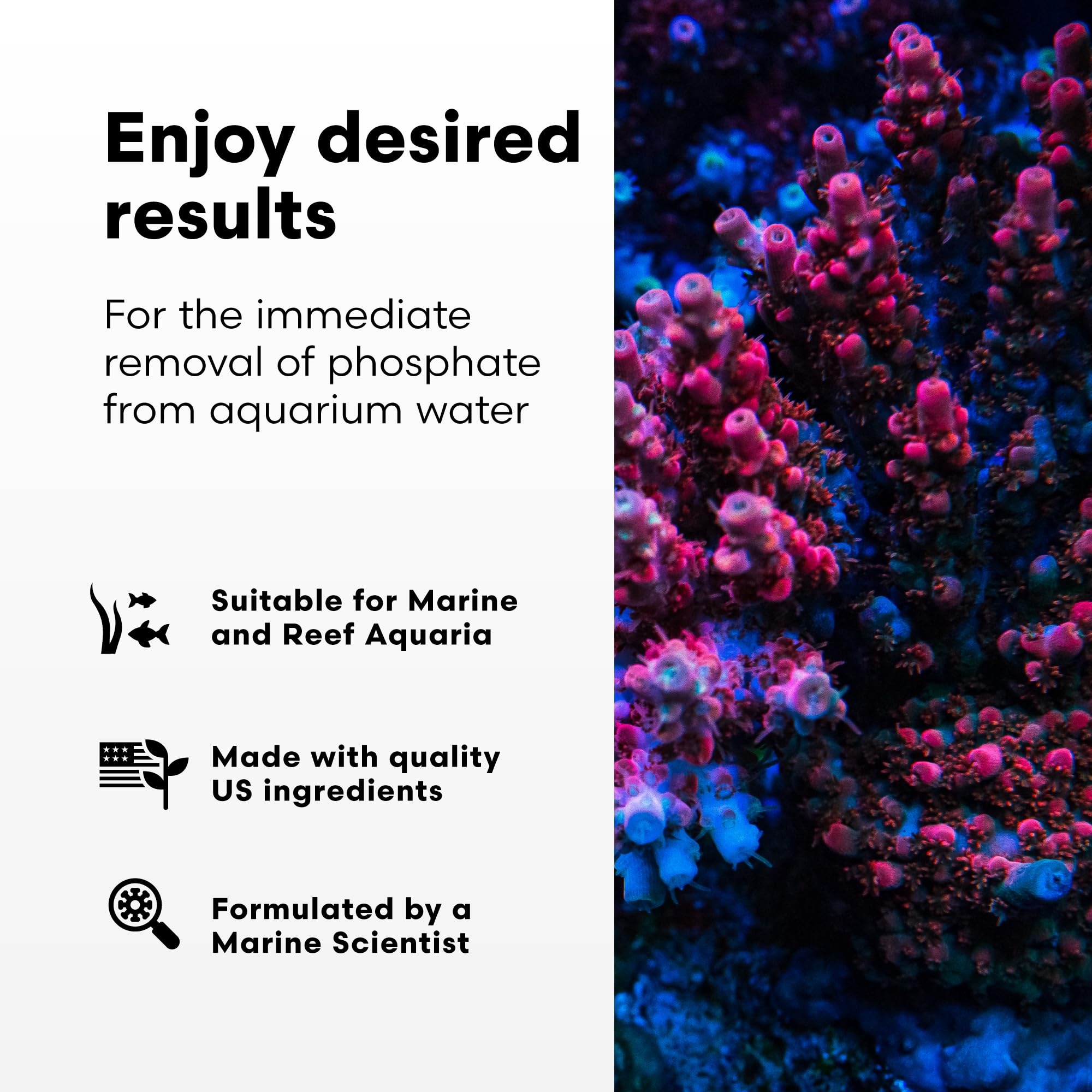 Brightwell Aquatics Phosphat-E: dosis diaria para control de fosfatos en tanques marinos