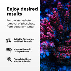 Brightwell Aquatics Phosphat-E: dosis diaria para control de fosfatos en tanques marinos