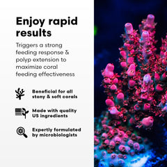Brightwell Aquatics Polyp Ignite, aplicacion-delicada: mejora la extensión de pólipos durante la alimentación