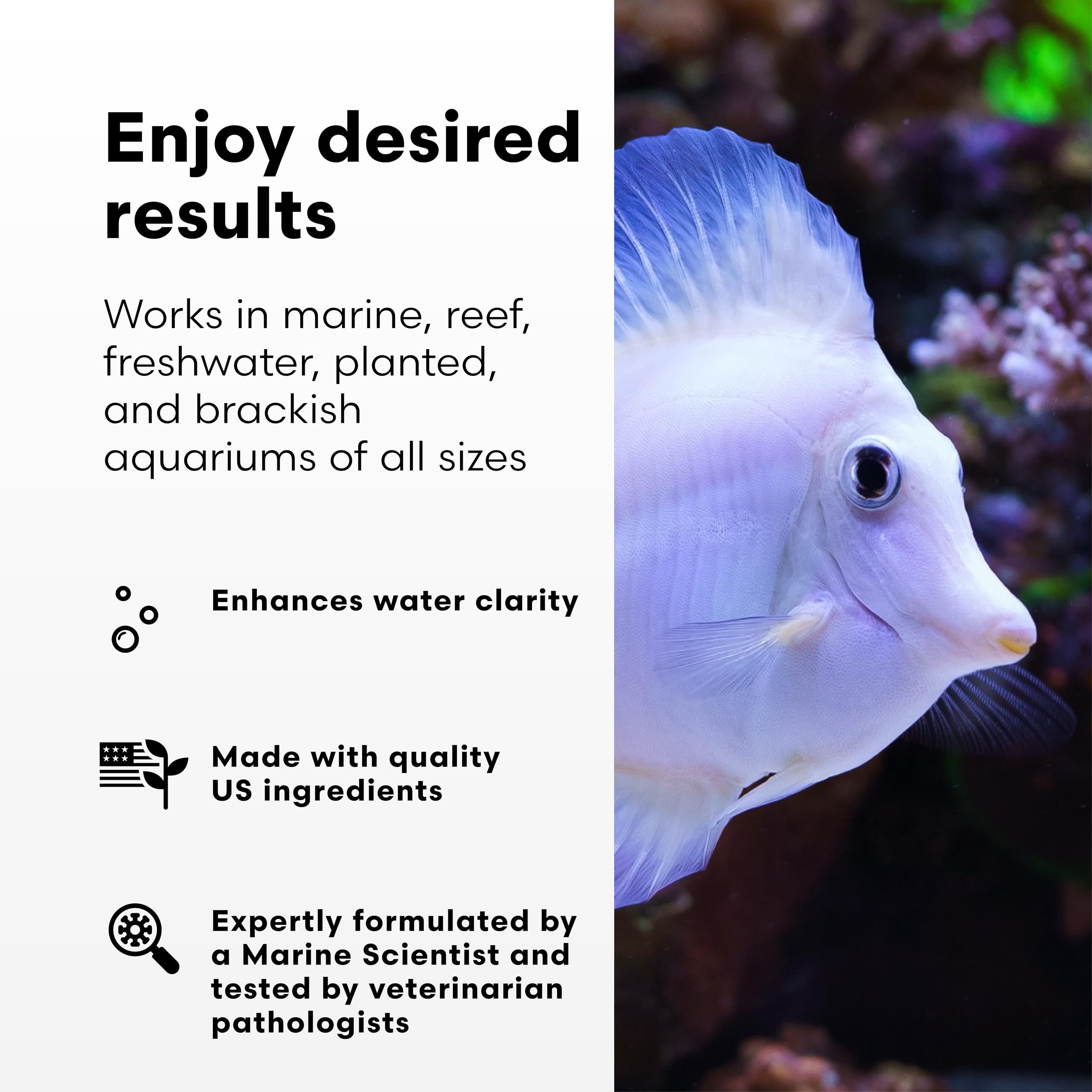 Brightwell Aquatics RedoxIclean, acuario marino, ayuda a mantener la claridad.