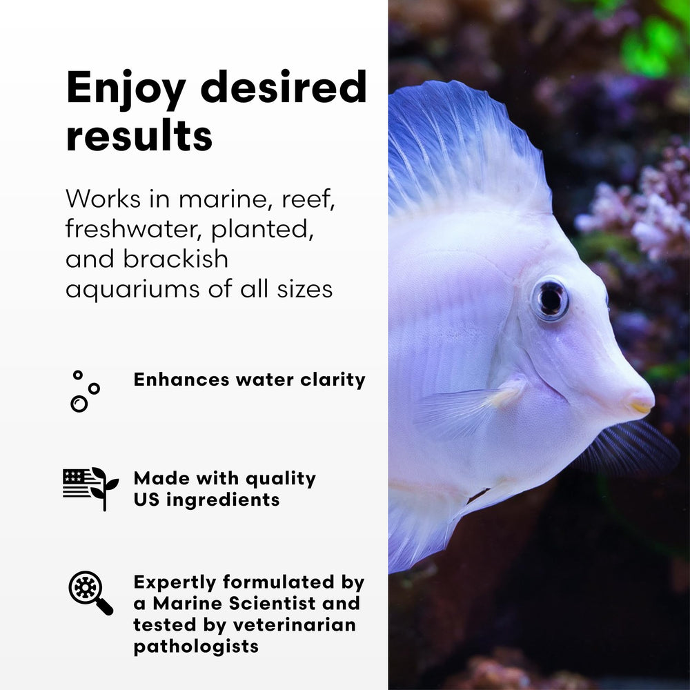Brightwell Aquatics RedoxIclean, acuario marino, ayuda a mantener la claridad.