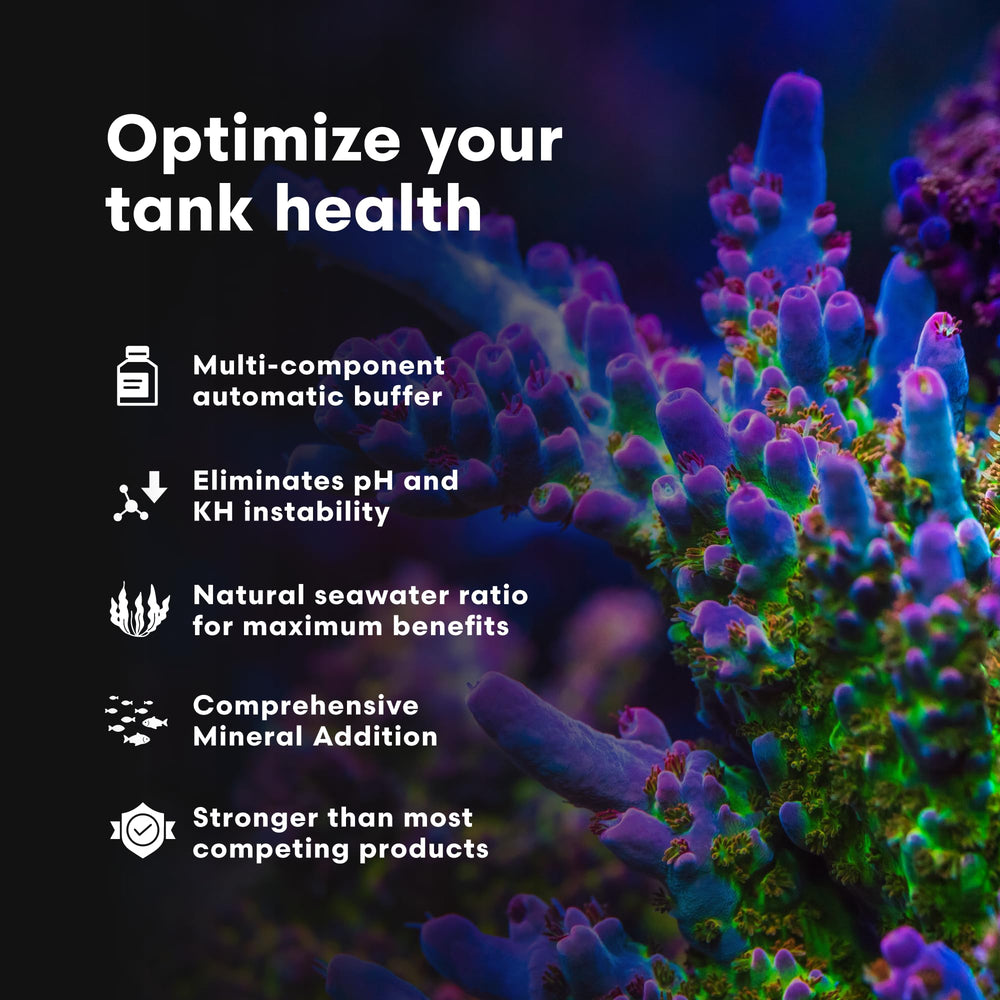 Reef Code B, mantiene pH estable y minerales para corales