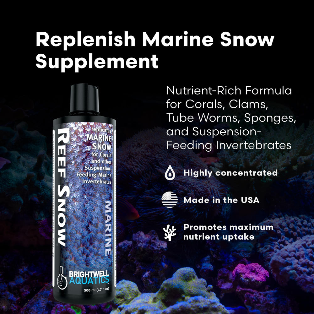 Brightwell Aquatics Reef Snow, dosis-nocturna, mejora absorción de nutrientes cuando aparecen tentáculos.