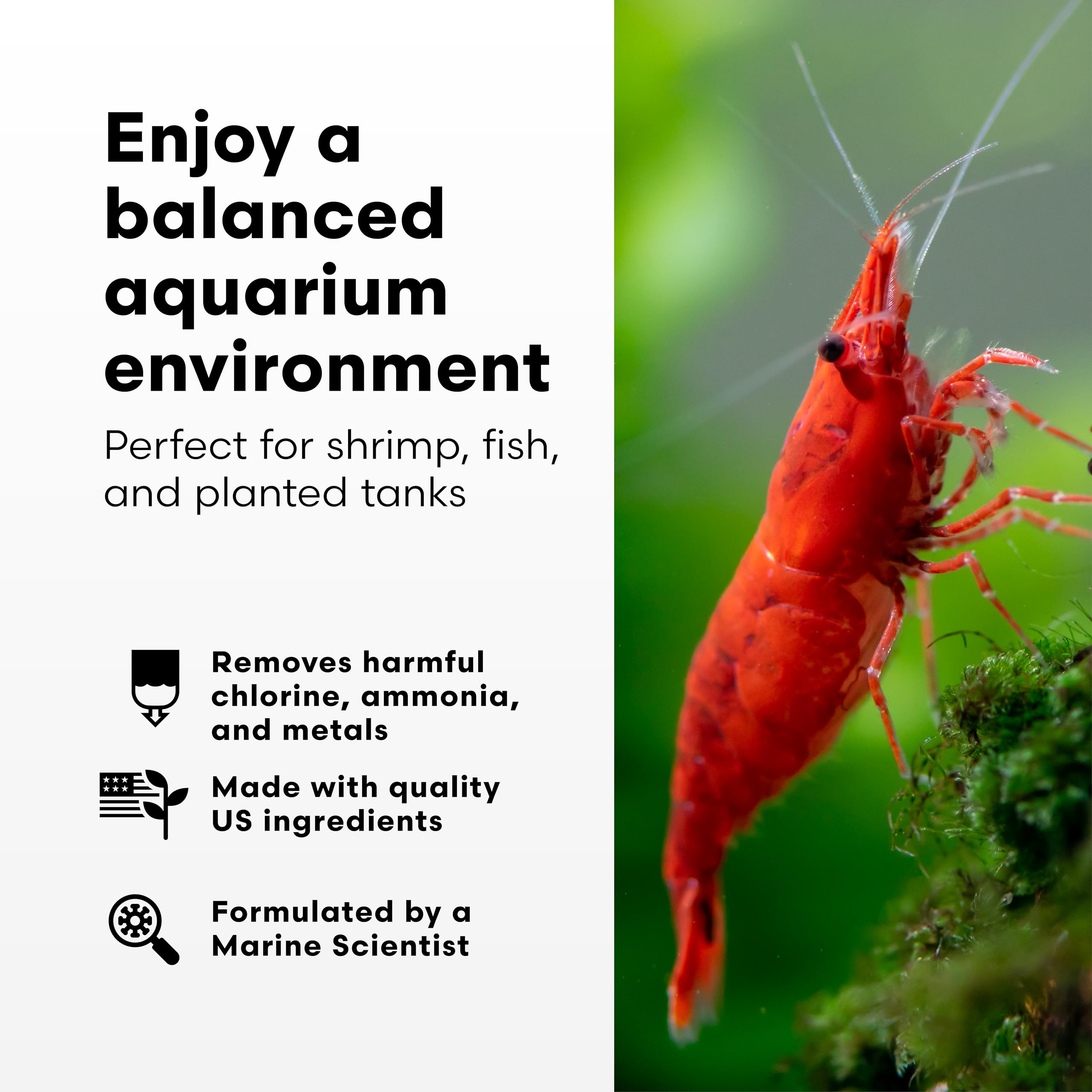 Brightwell Aquatics Shrimp Prep libre de fosfato y silicato para acuarios plantados.