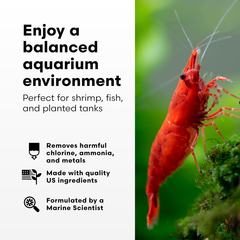 Brightwell Aquatics Shrimp Prep libre de fosfato y silicato para acuarios plantados.