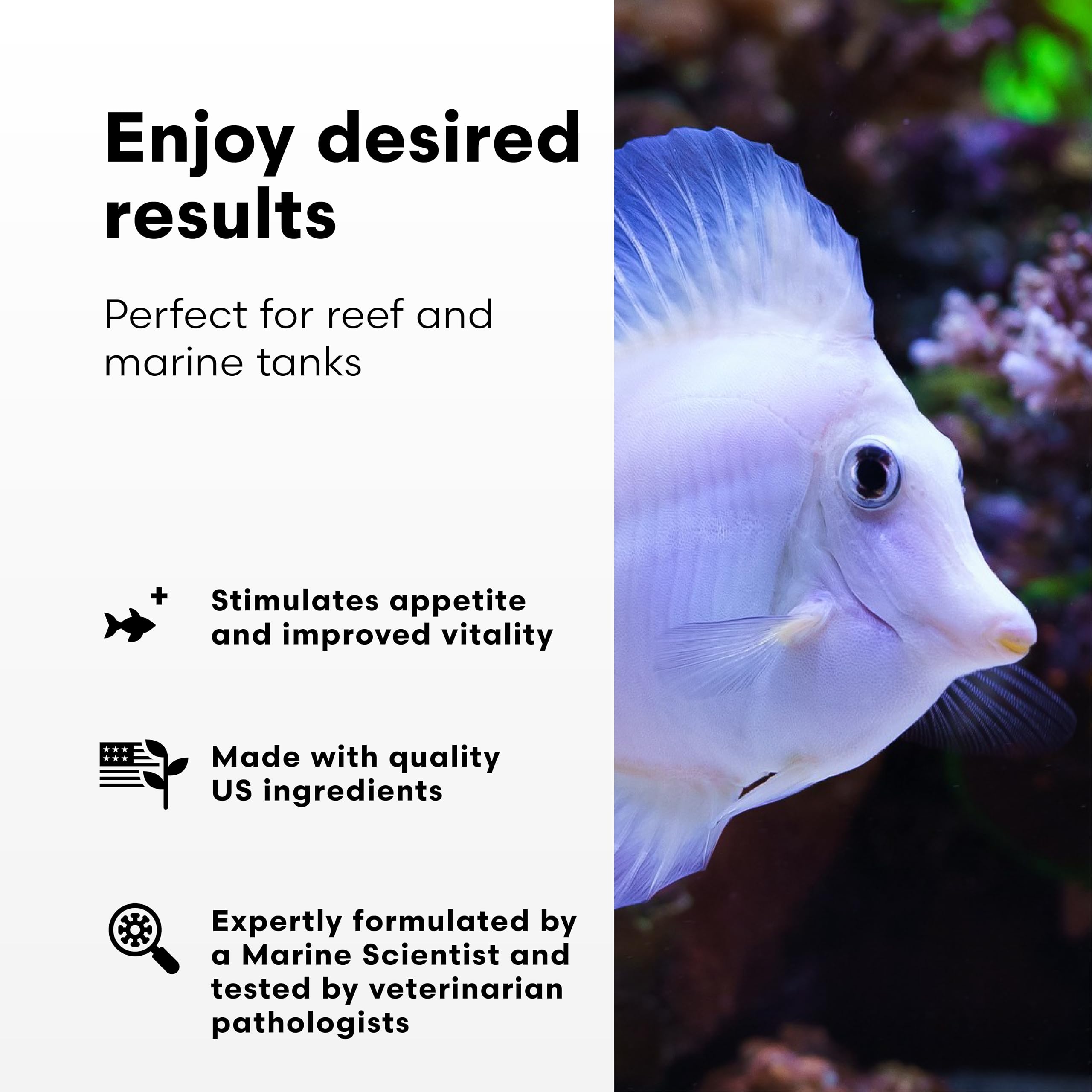Brightwell GarlicPower: alimento remojado con ajo para peces marinos variados.