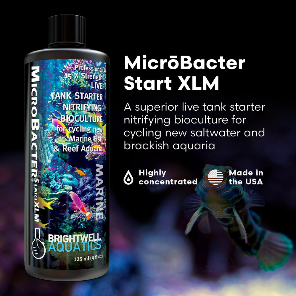 Brightwell MicroBacter Start XLM: bacterias nitrificantes para ciclado eficiente