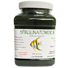 Brine Shrimp Direct polvo de espirulina en envase de 8 oz para color y crecimiento.