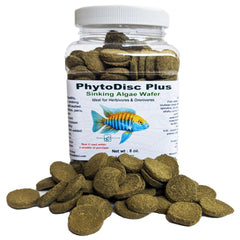 Brine Shrimp Direct PhytoDisc Plus pastillas hundiendo, alimento estable para peces de fondo.