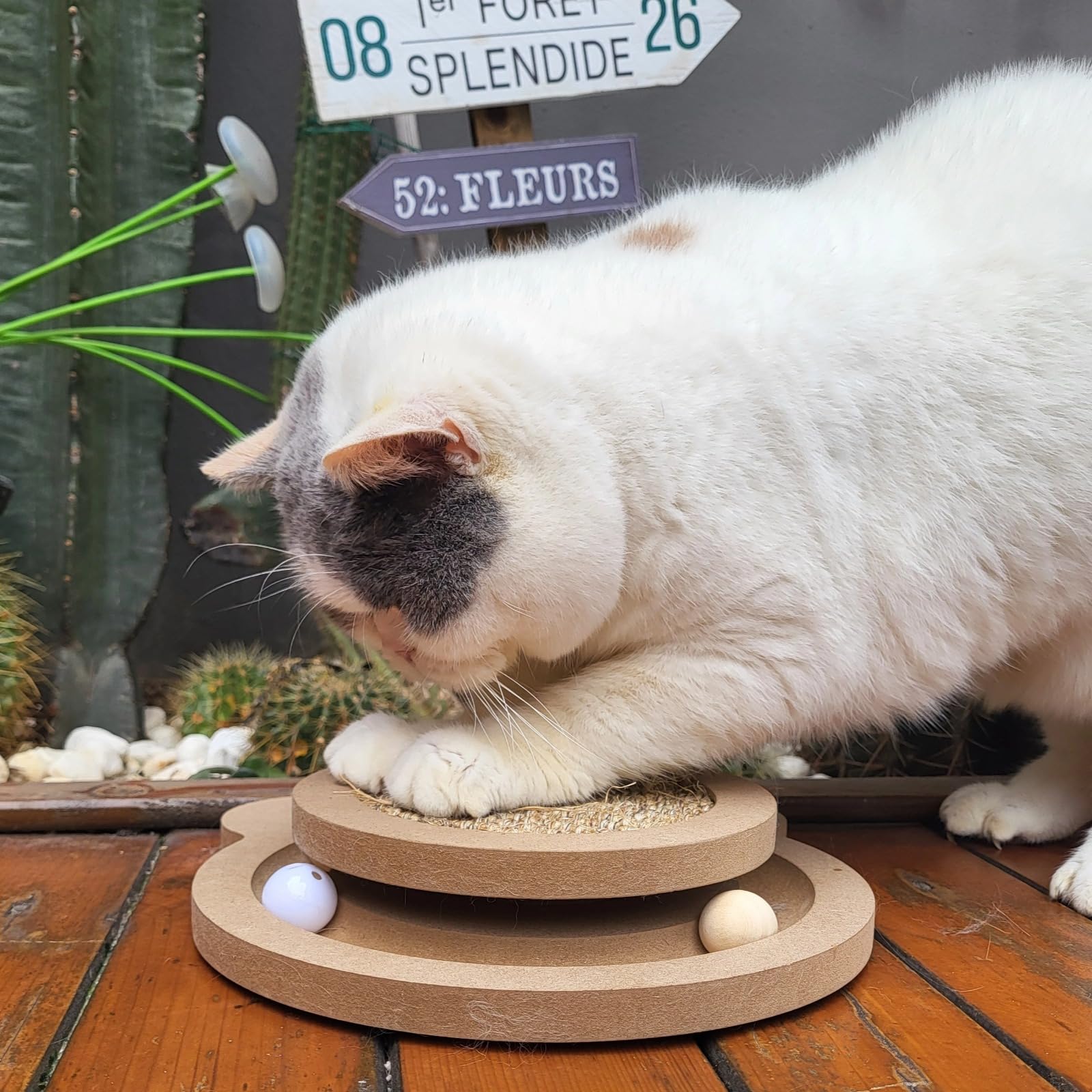 Britepaws pista bolas rodantes para perseguir y ejercitar al gato