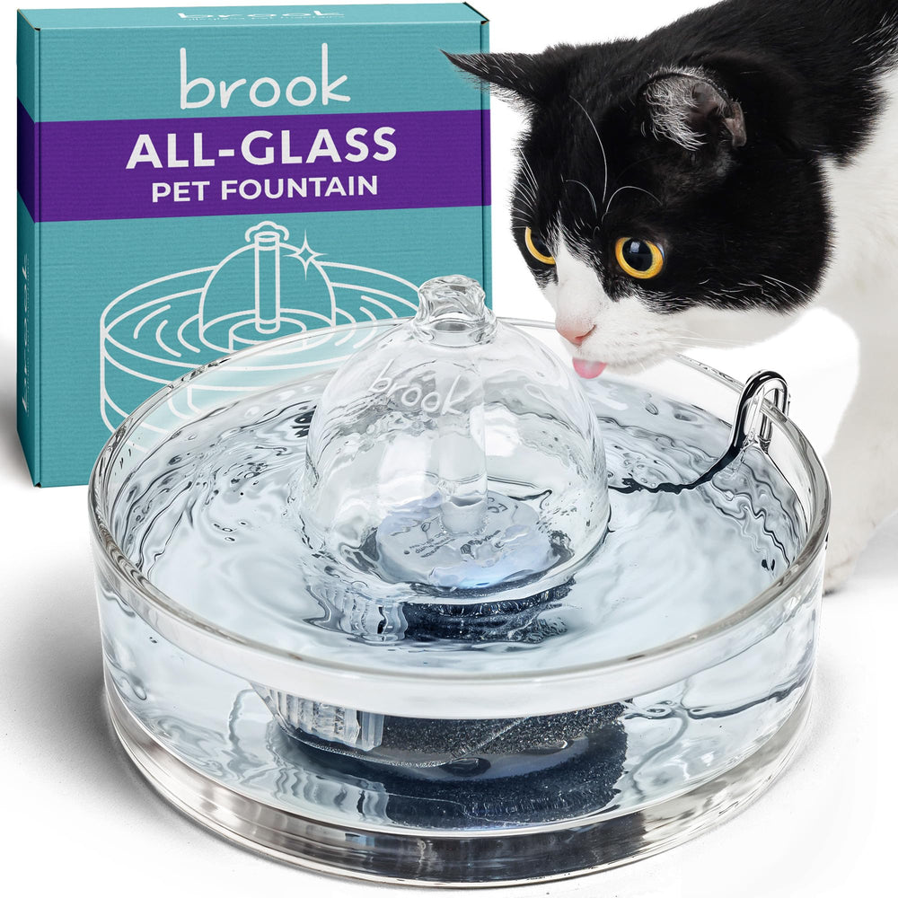 Brook fuente de vidrio para mascotas, higiene y limpieza superiores
