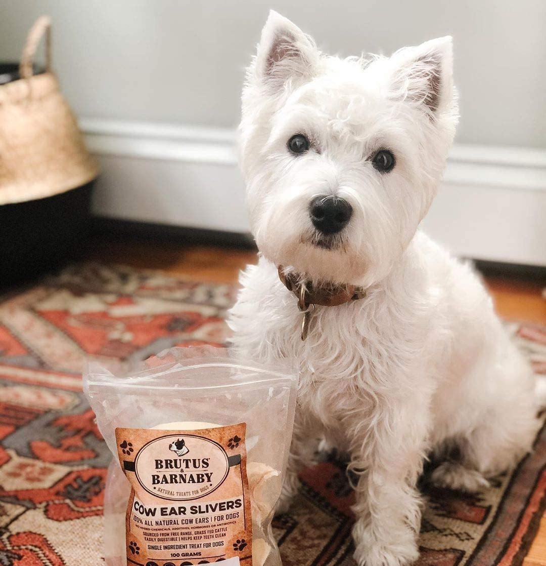 BRUTUS Y BARNABY décadas de confianza en snacks para perros.