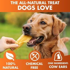 BRUTUS & BARNABY orejas de vaca para masticar, snack natural.