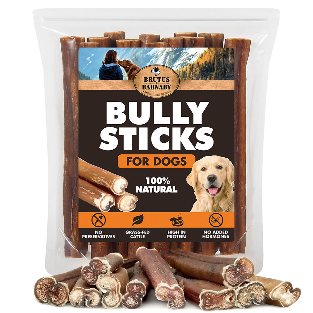 BRUTUS & BARNABY palito bully 6 pulgadas para masticación prolongada y satisfacción.