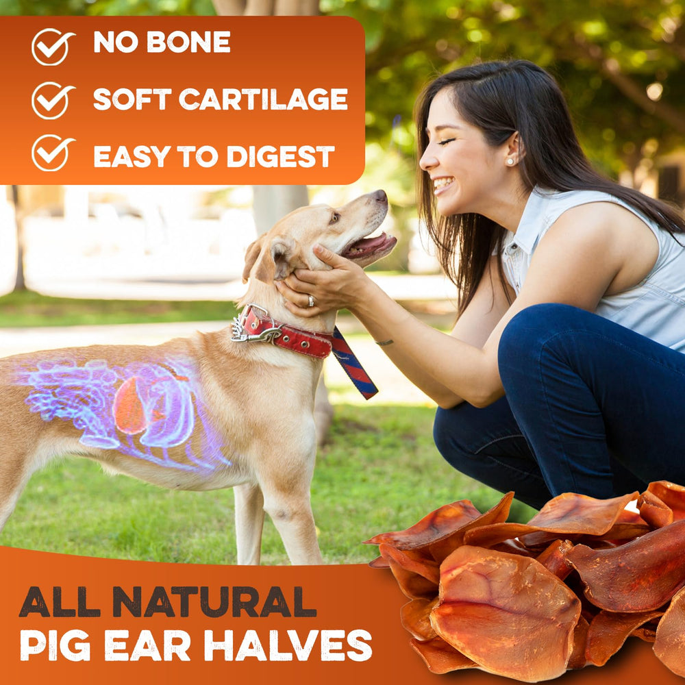 BRUTUS & BARNABY para seniors: snack natural suave para perros mayores.