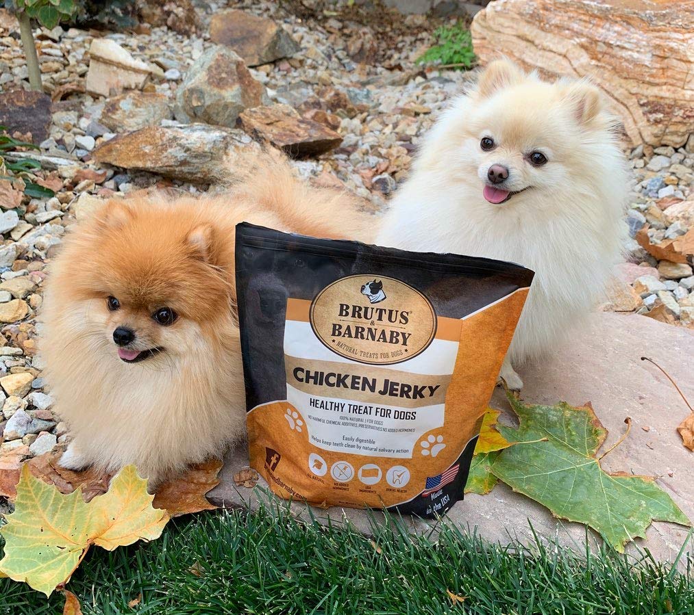 Brutus & Barnaby porciones crujientes para perros activos